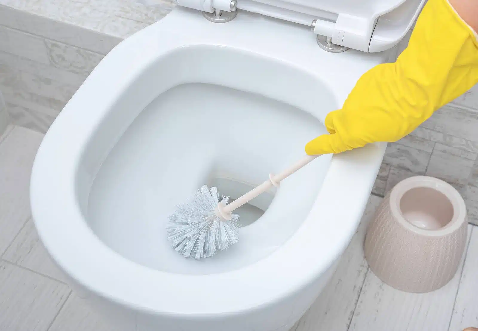 Household Cleaners 4